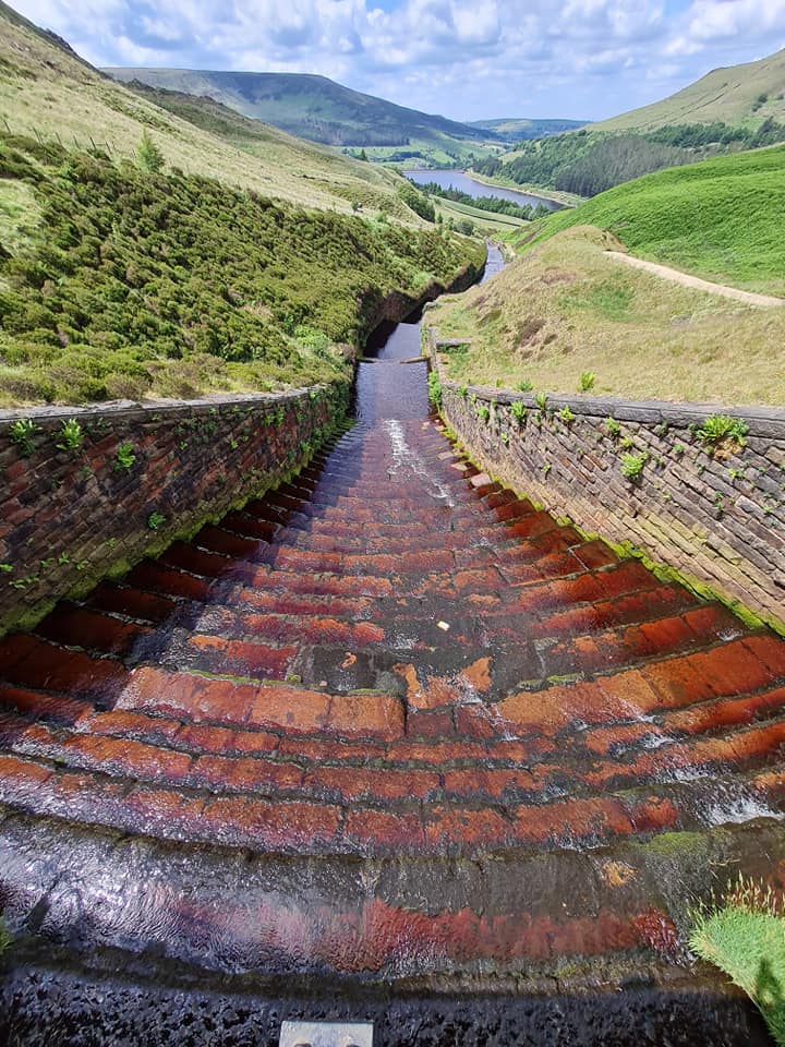 202244497_1397046167334785_6685341836655968674_n